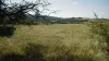 Building land For Sale - 2236 the village Chibaovtsi BG Thumbnail 2