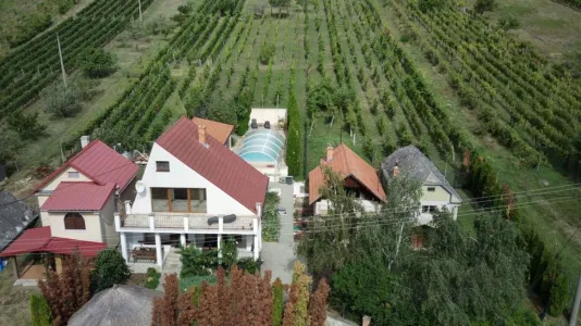 Ev Satılık 99128 Vinica SK