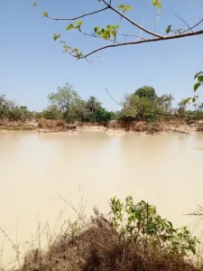 İnşaat arazisi Satılık 0000 Brikama Gambia  DE